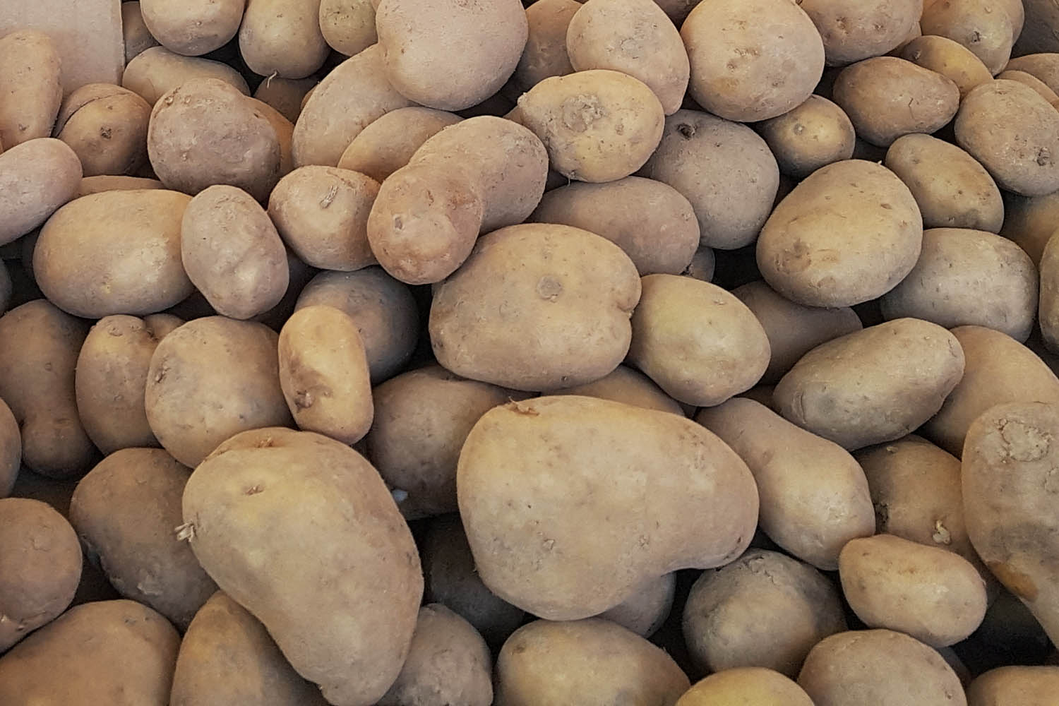 Jak przechowywać ziemniaki?