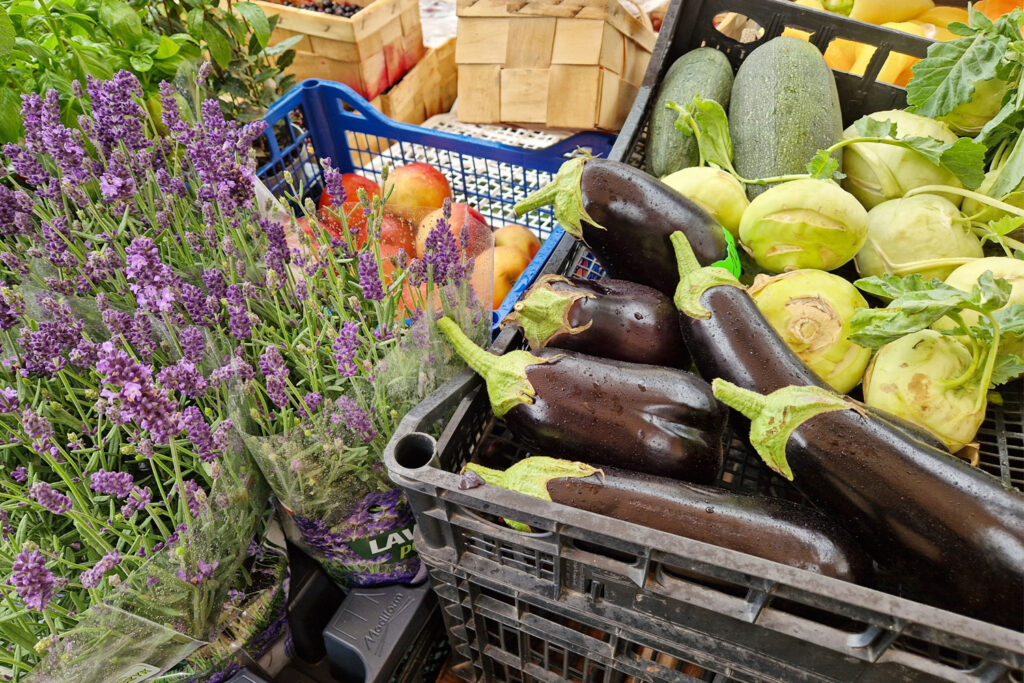 Ceny warzyw i owoców w Końskich (7.08.2023)