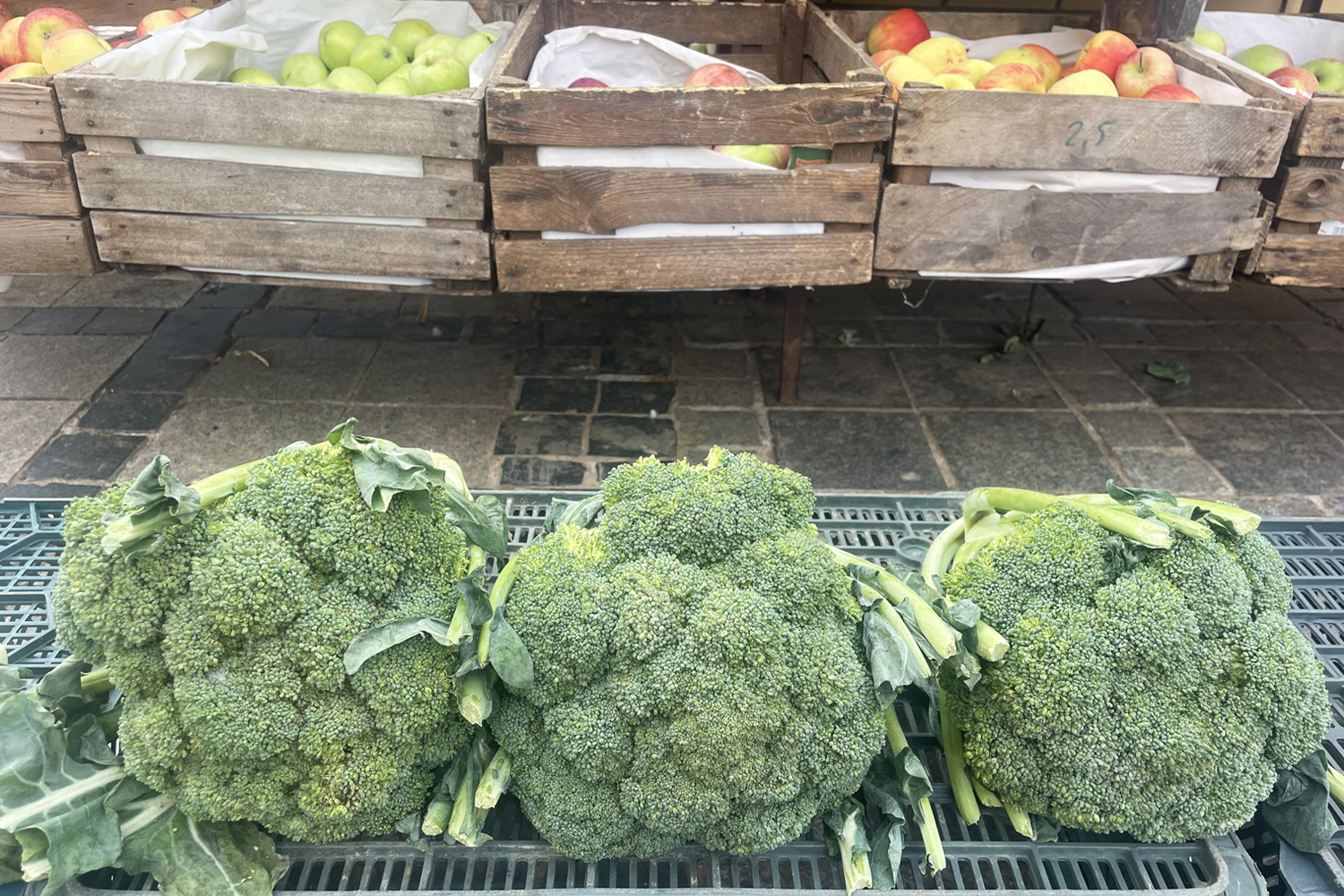 Ceny warzyw i owoców w Sandomierzu (25.08.2023)