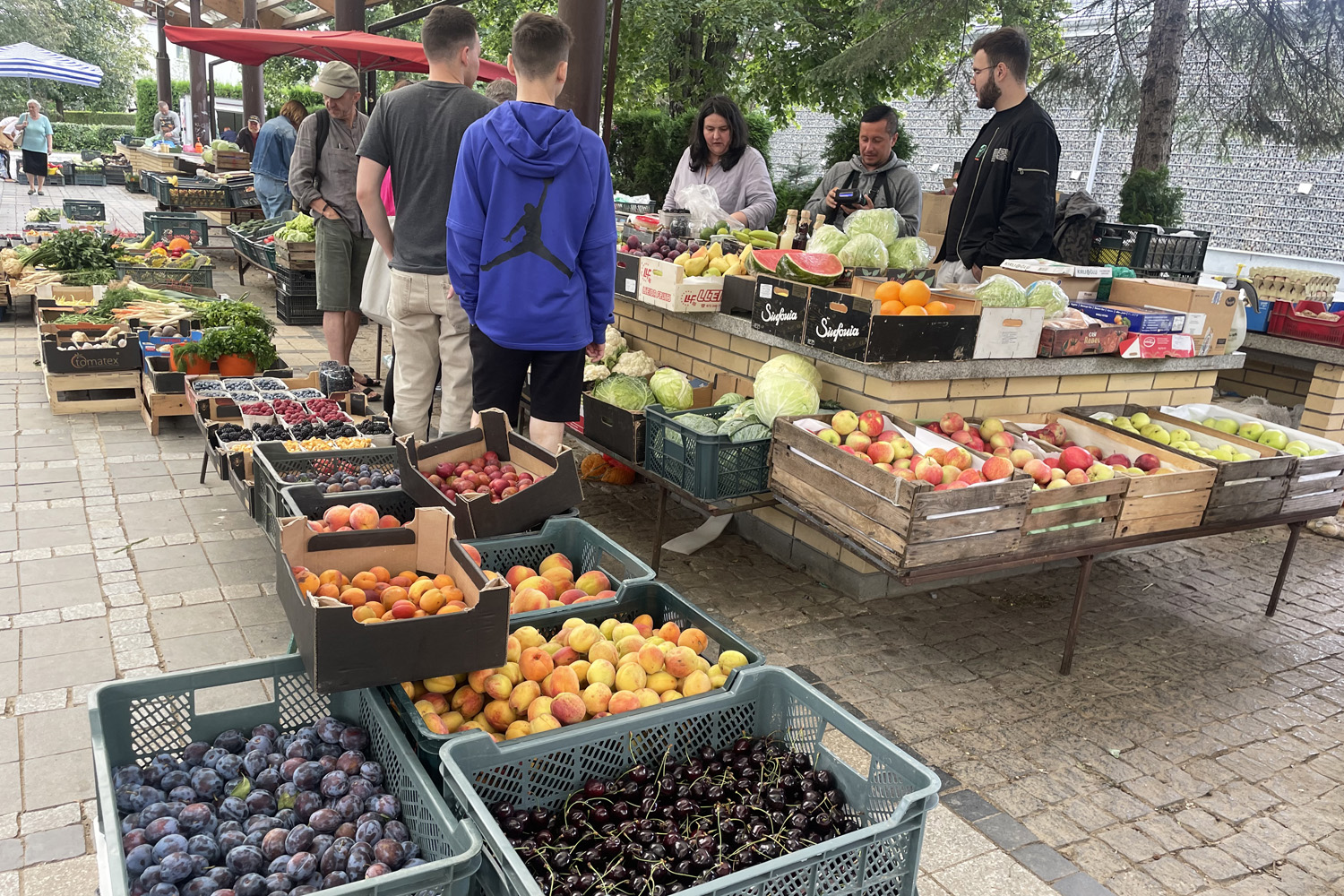 Ceny warzyw i owoców w Sandomierzu (8.08.2023)