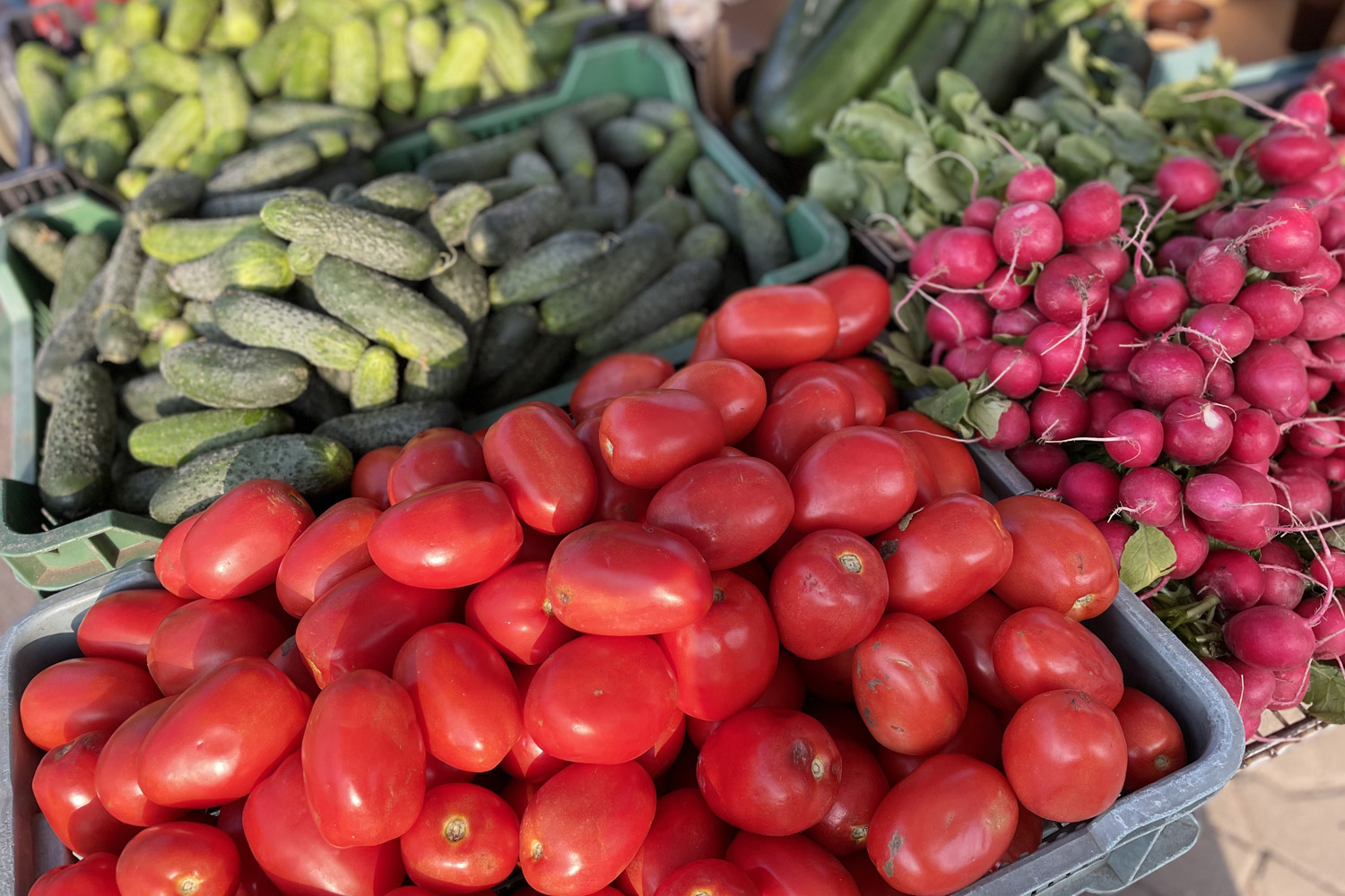 Ceny warzyw i owoców w Końskich (8.11.2023)