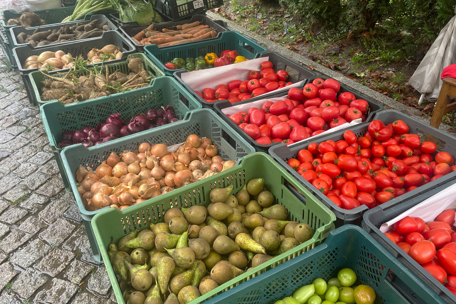 Ceny warzyw i owoców w Sandomierzu (26.10.2023)