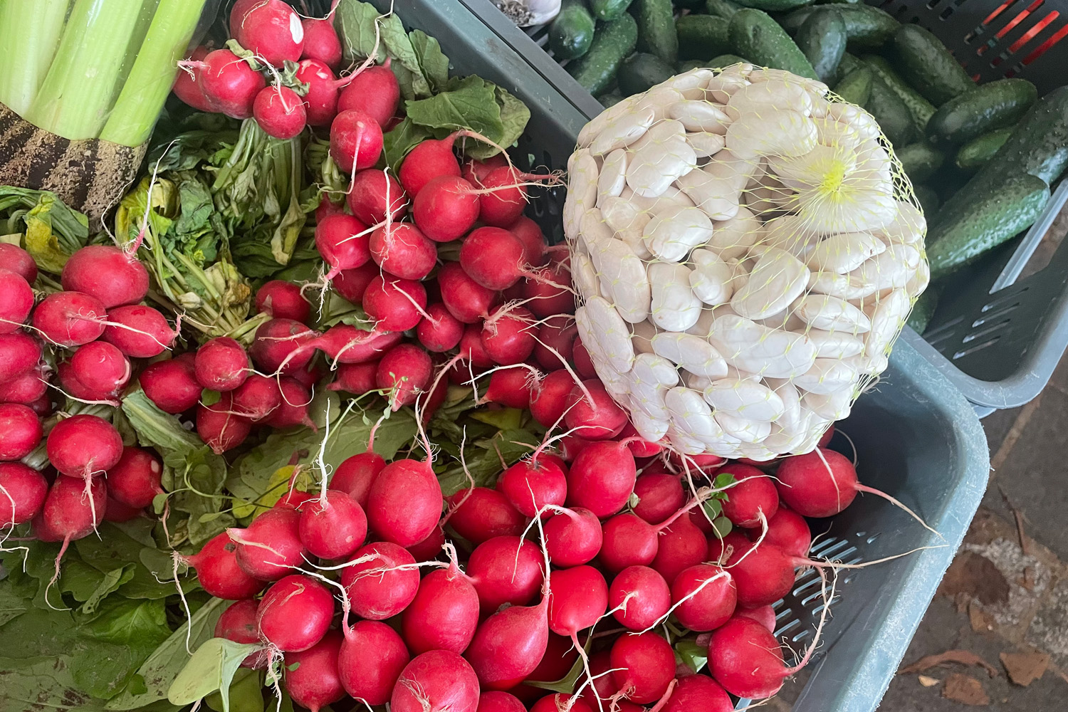 Ceny warzyw i owoców w Sandomierzu (9.11.2023)