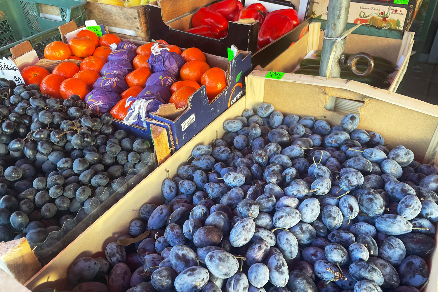 Ceny warzyw i owoców w Starachowicach (7.11.2023)