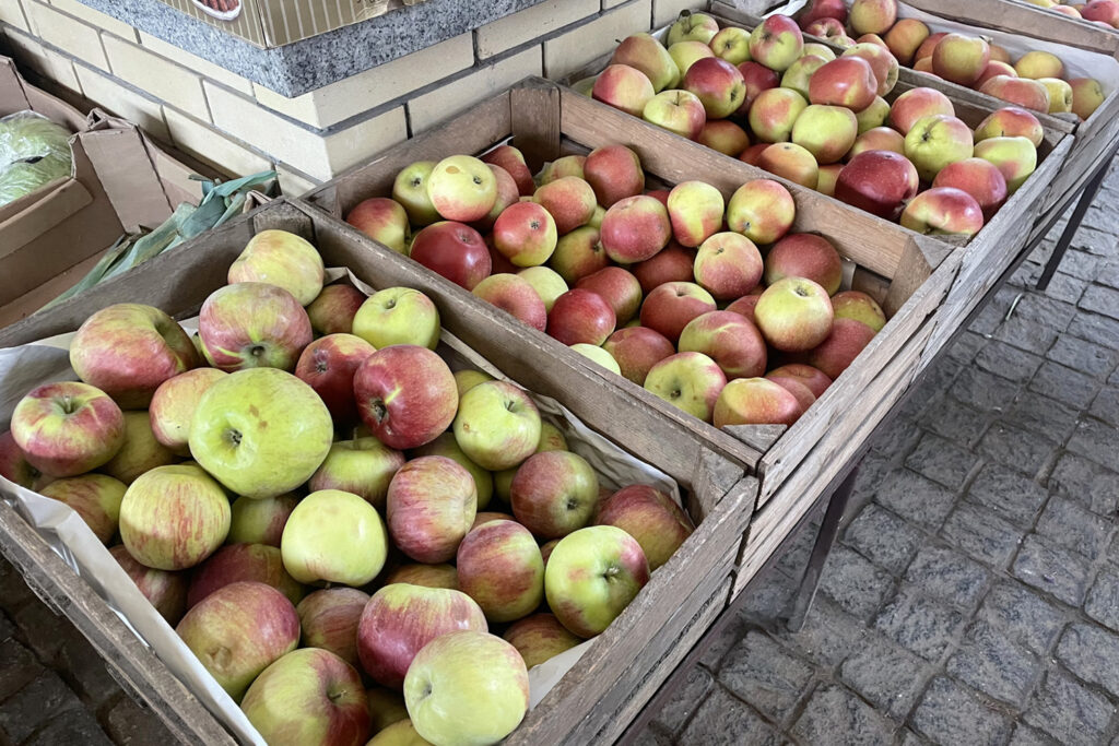 Ceny warzyw i owoców w Sandomierzu (15.02.2024)