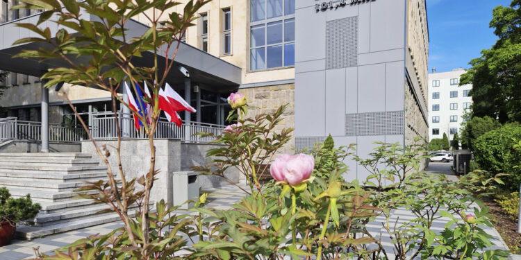 Piwonie rozpoczynają kwitnienie. Urodą zachwyca nasza piwonia drzewiasta