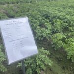 14.06.2024. Słupia. Dzień Pola / Fot. Marzena Smoręda - Radio Kielce
