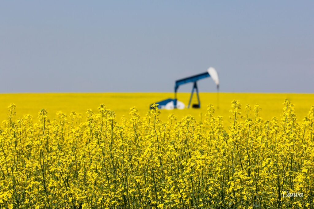 Zabraknie oleju? 2 Gdy obniży się przerób rzepaku w Polsce, naturalnie zwiększy się deficyt białka paszowego, a więc konieczne będzie zwiększenie importu soi. / Fot. Canva